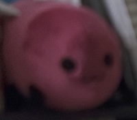 crop of the previous photo to show a plush eggbug (the cohost mascot, a maroon bug with wings)