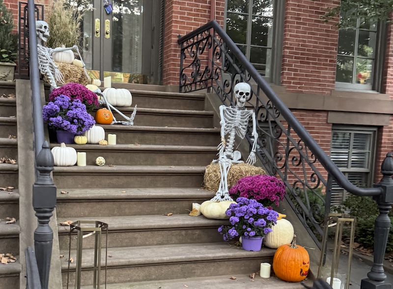 photo of a stoop decorated with very pretty flowers and skeletons and pumpkins