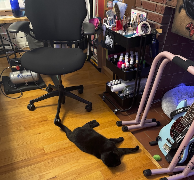 pumagreg, our black cat, stretched out on the floor, dramatically, of my home office area