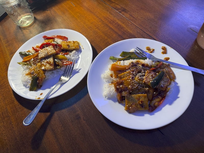 photo of two plates of braised tofu that i cooked for dinner tonight