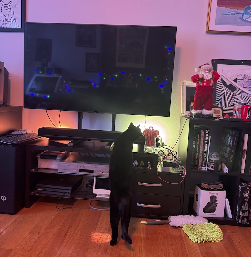 photo of our black cat pumagreg standing tall with front legs near the soundbar below a lifted flat screen tv