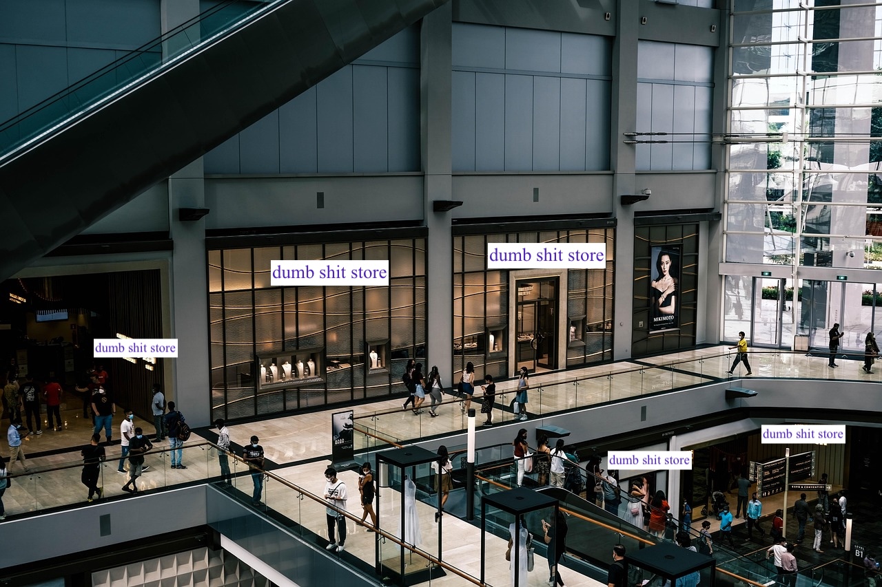 photo of a mall but i replaced all the store names with "dumb shit store"
