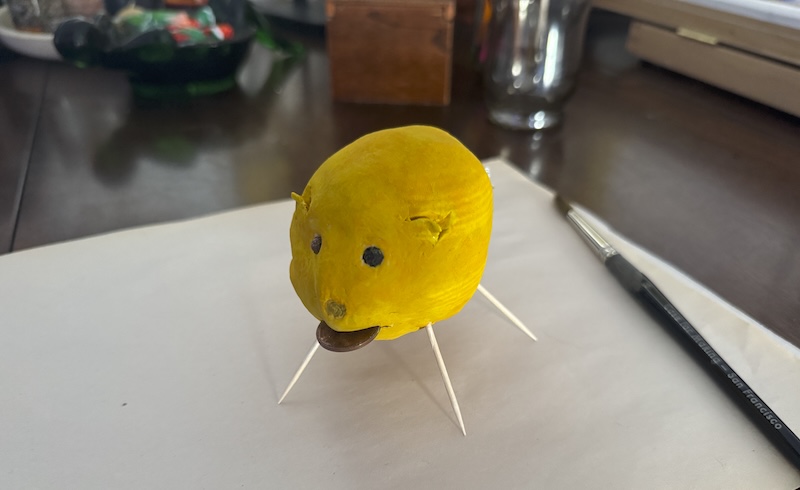photo of my air dry clay lemon pig after it was painted so it looks like a real lemon where i cut ears, added peppercorns for eyes, an dshoved a penny in its mouth