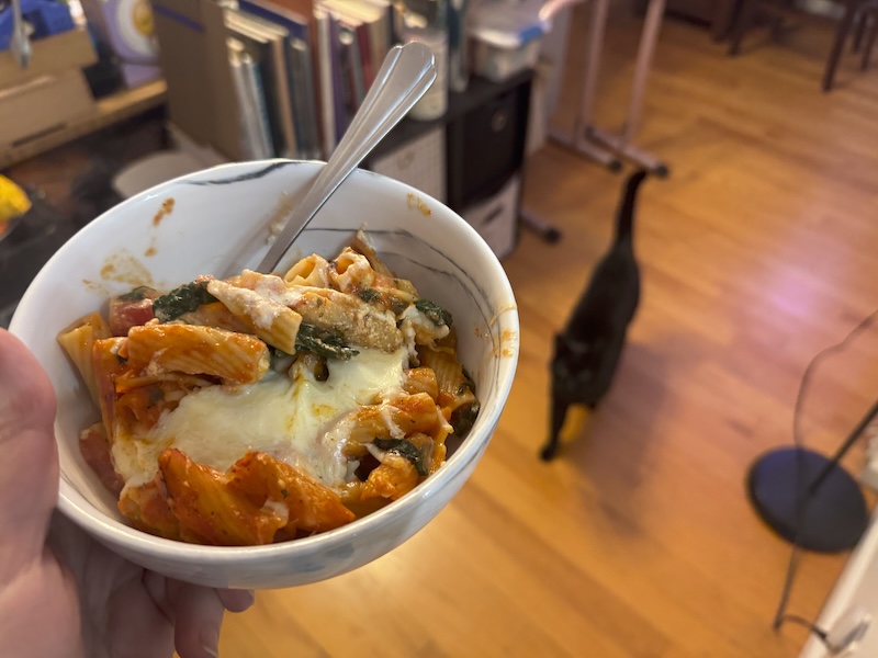 photo of me holding up a bowl of ziti i made and you can see a blurry pumagreg coming up to me