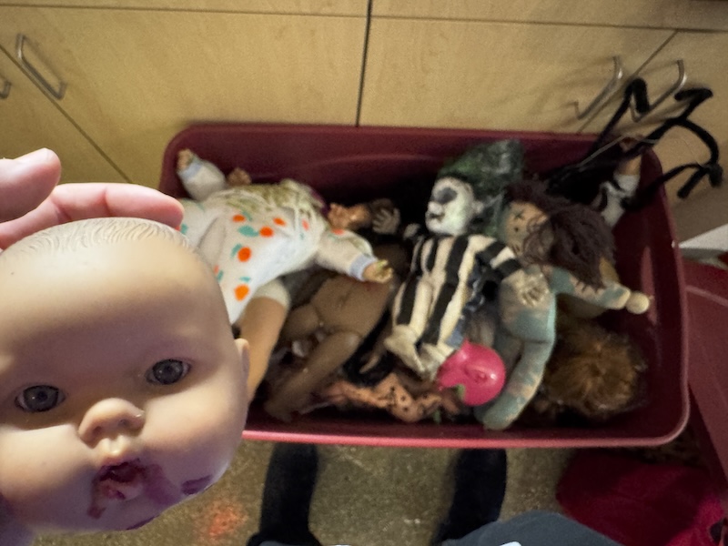 photo of a doll head with blood painted on it being held up by me above a bin full of creepy painted dolls, likely for some spooky display or project