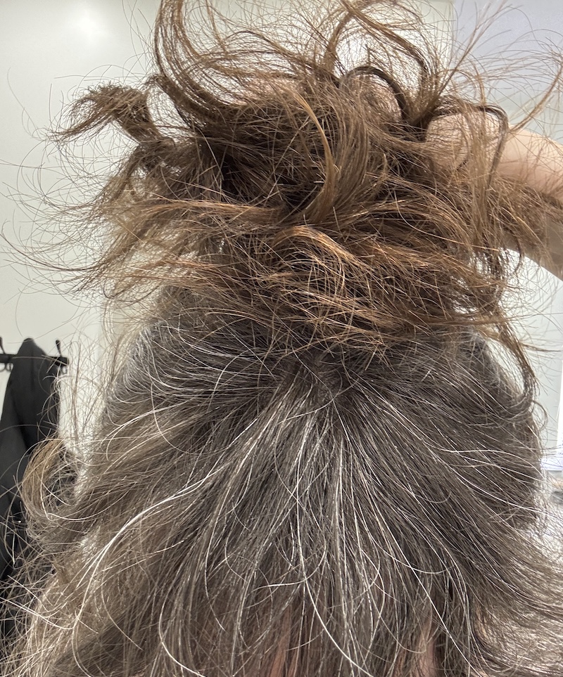 photo of my hair up in a ponytail and i'm holding it up to compare my ends (brown) to my roots/bangs (brown and gray)