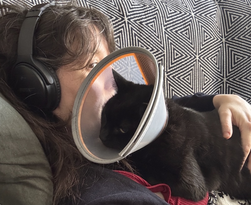 pumagreg with his cone today, laying on top of me while i lay on the couch. we are listening to music together through my over-hear headphones - his face is next to my head