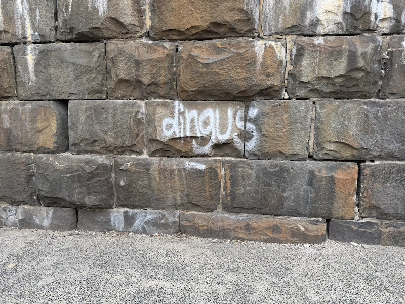photo of a jersey city embankment wall with grafitti on it saying "dingus"