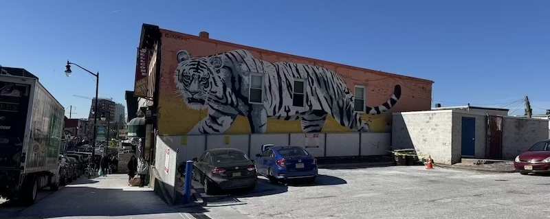 photo of a building in the journal square area of jersey city with a huge, beautiful white tiger mural