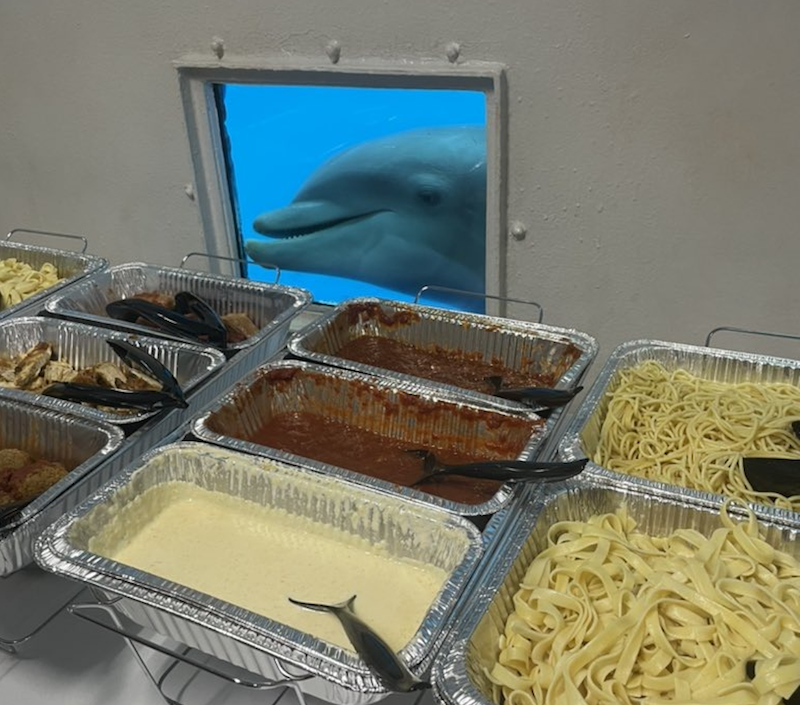 photo of a hot buffet inside a ship and a dolphin is at the window smiling